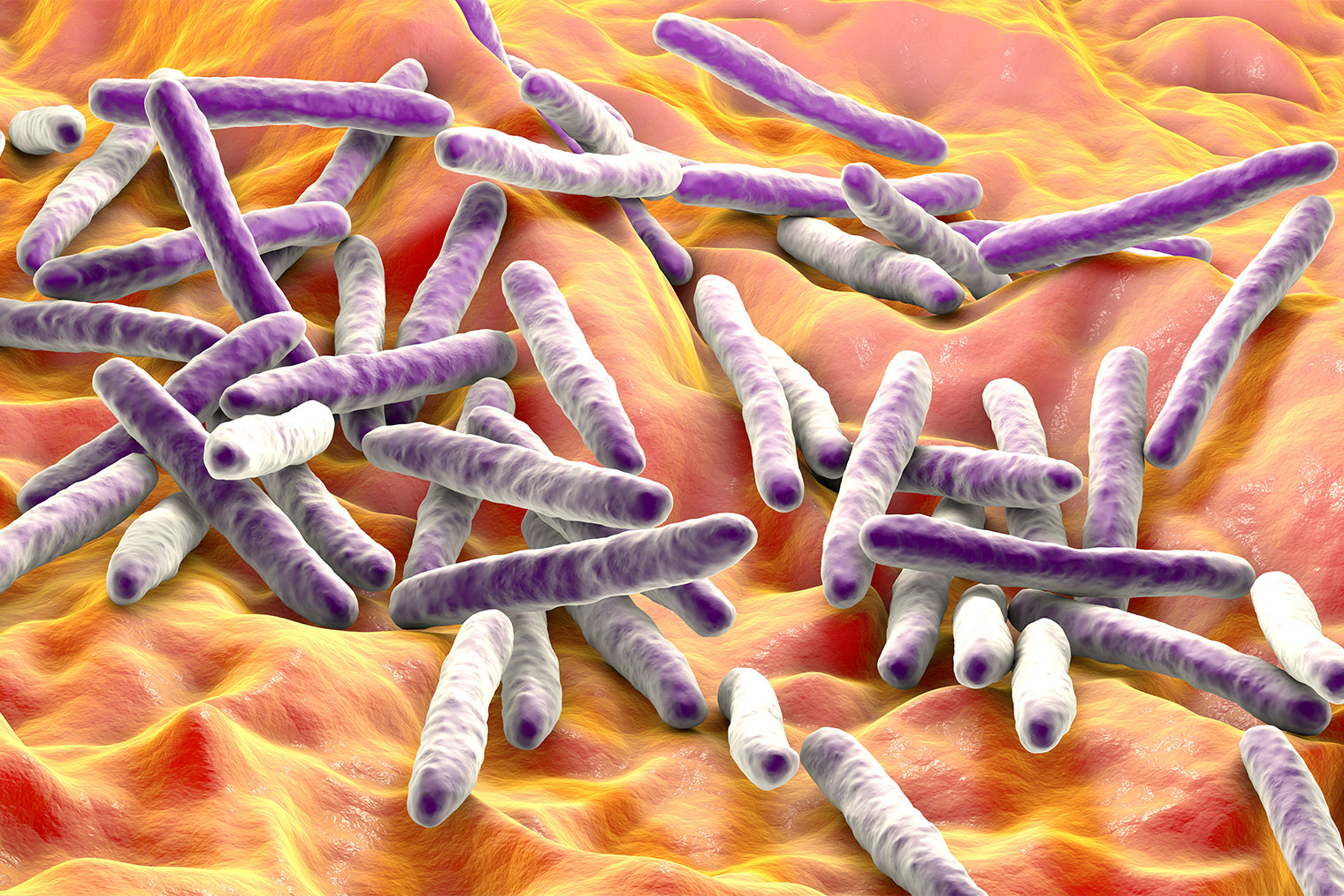 Так выглядит Mycobacterium tuberculosis. Иллюстрация: Kateryna Kon / Shutterstock / FOTODOM