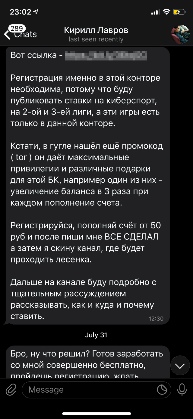 Кирилл пообещал золотые горы. Позабавило, что иногда он обращался ко мне в мужском роде: видимо, вставлял заготовленные фразы