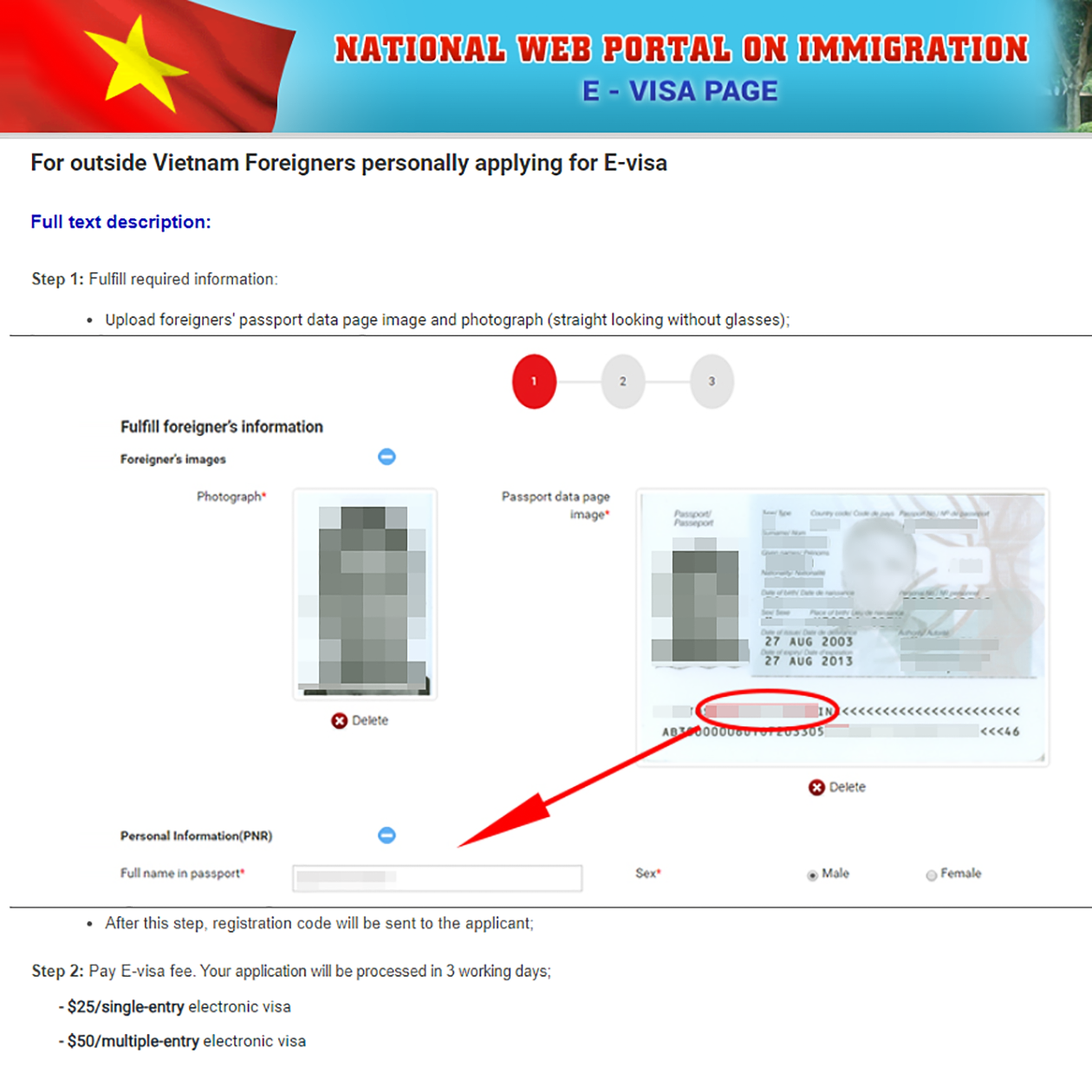 Так выглядит форма для электронной визы. Источник: e⁠-⁠visa.vn