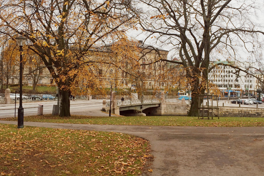 Вид из парка Kungsparken