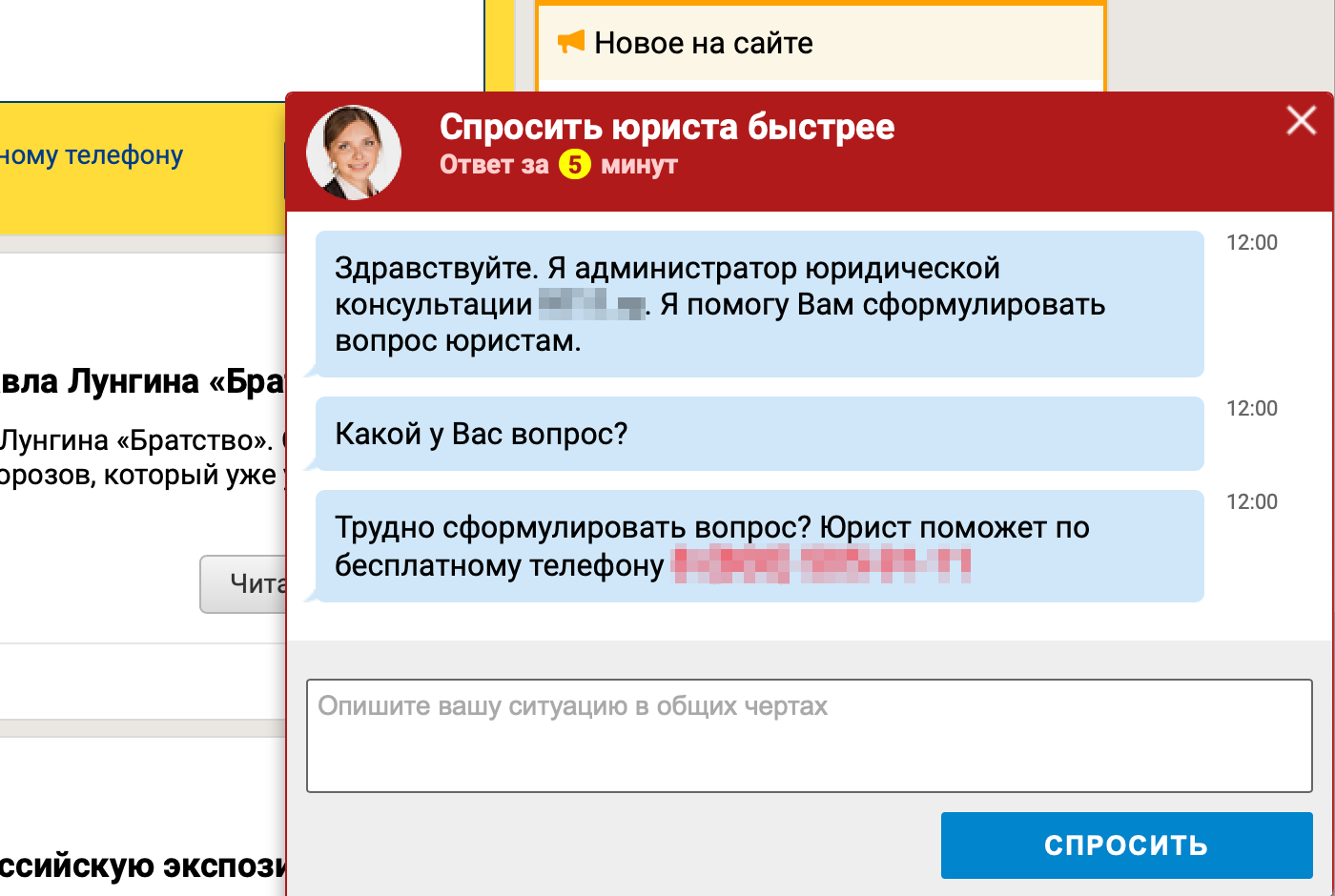 Чат-бот обещает помочь правильно сформулировать вопрос к юристам