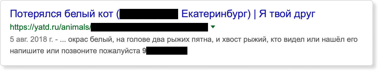 По запросу с номером телефона нашлась ссылка на объявление о пропаже кота