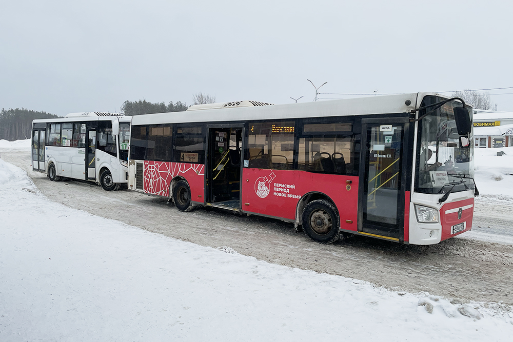 Вот такие автобусы ходят по городу