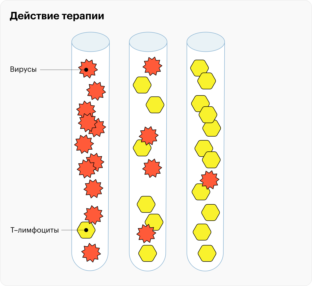 Терапия против ВИЧ направлена на сдерживание вируса. Иммунитет получает возможность самостоятельно восстановиться