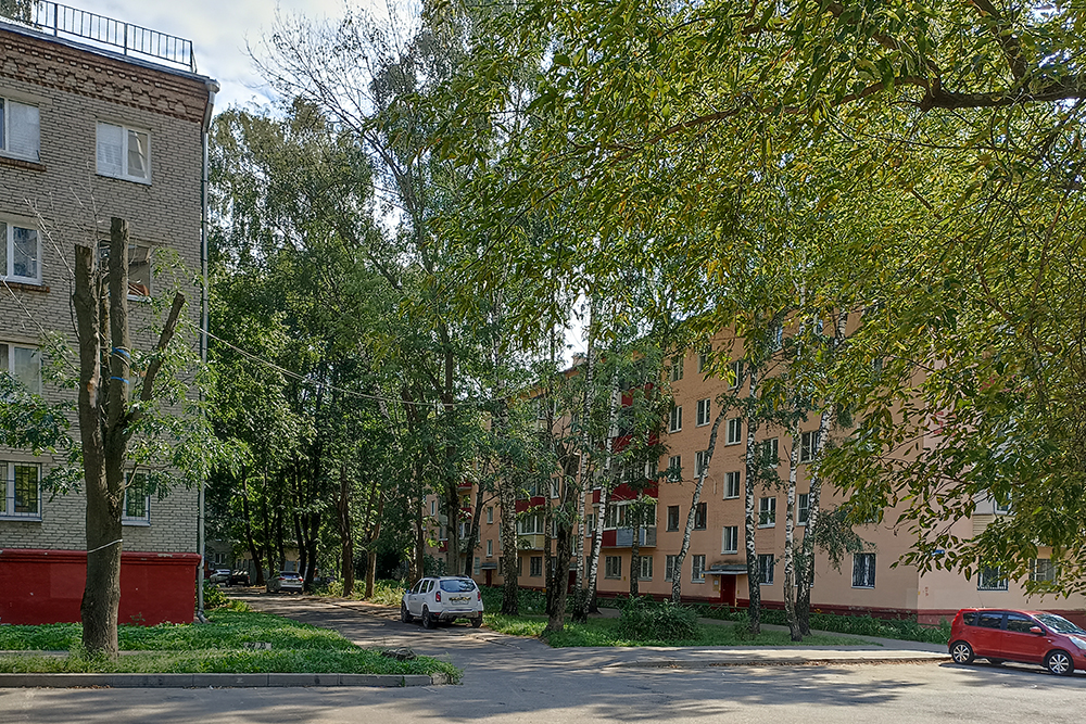 Большинство домов в моем районе — хрущевки. Зато вокруг много деревьев. В жару я гуляю с детьми именно в старых дворах: там приятная тень