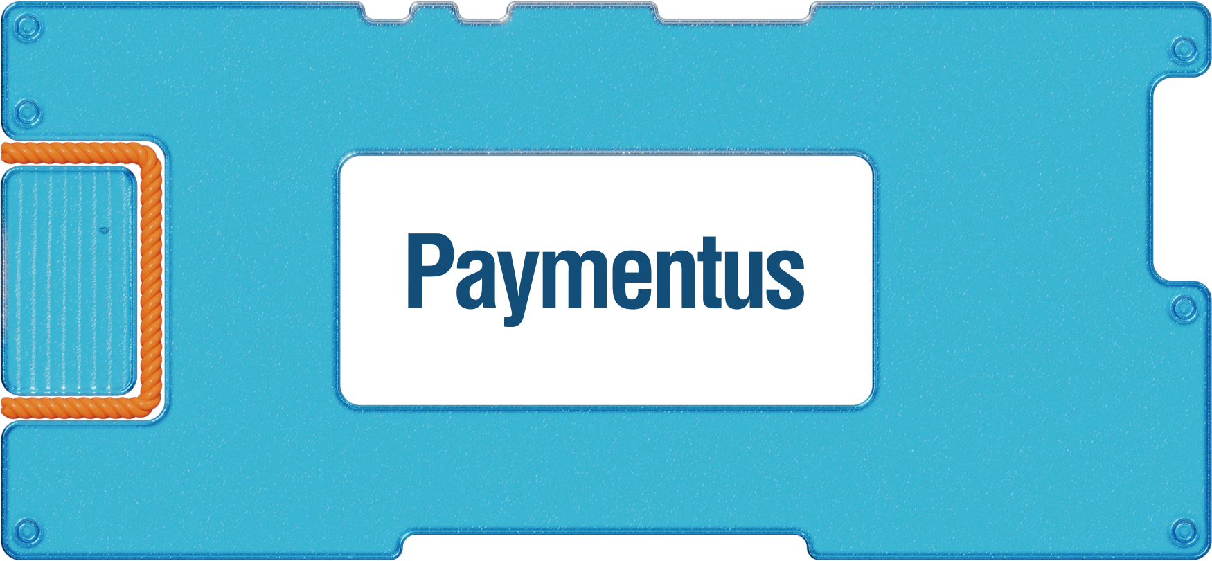 Инвестидея: Paymentus, потому что должно быть еще дороже