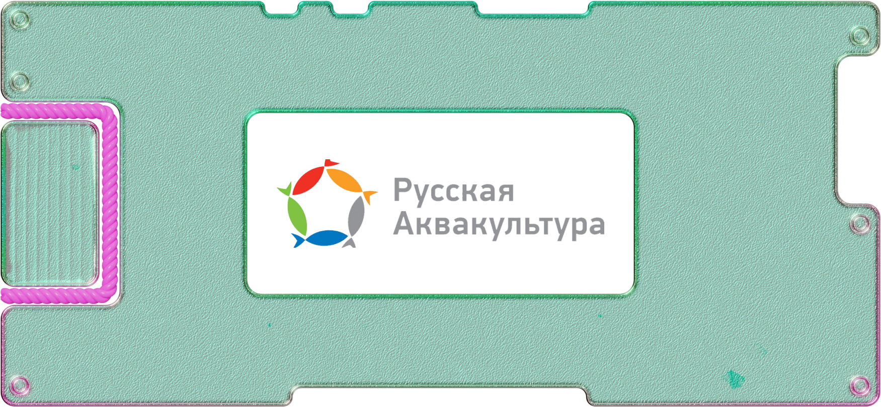 Обзор «Русской аквакультуры»: конкурентов почти нет, акции растут на обратном выкупе