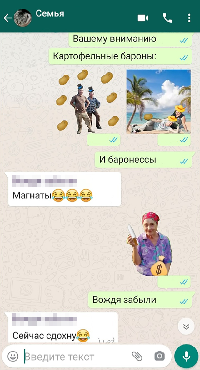 Наш семейный чат