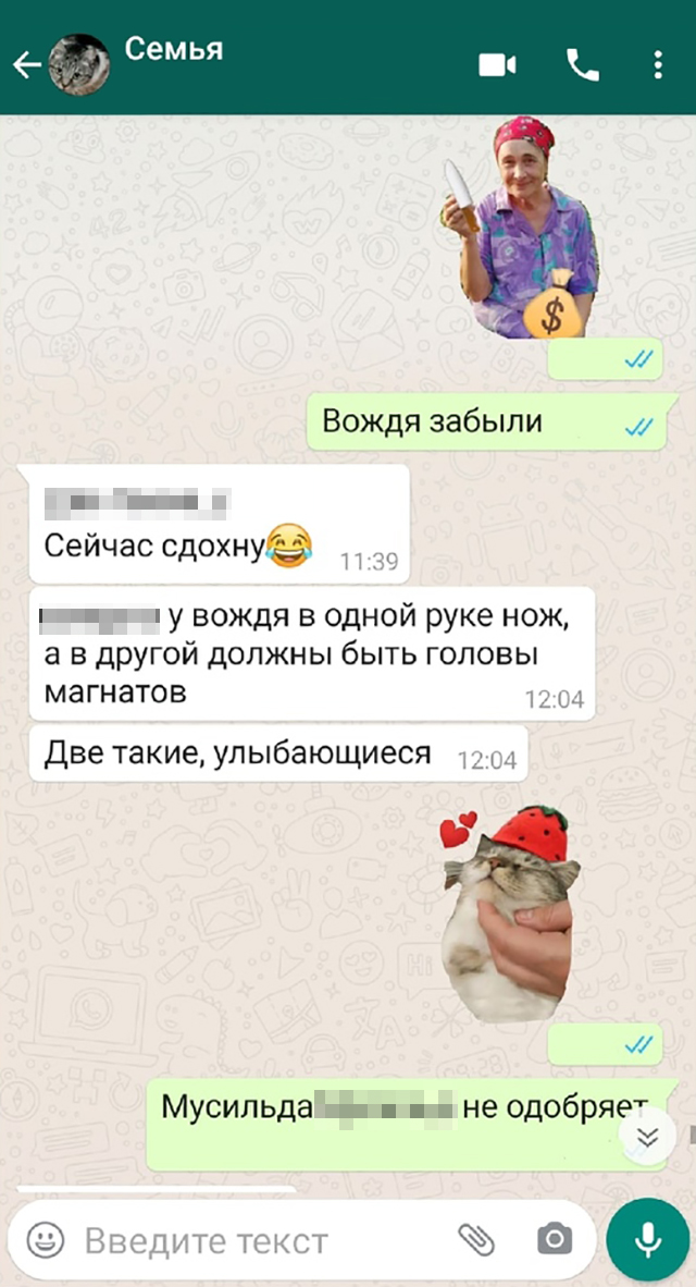 Наш семейный чат