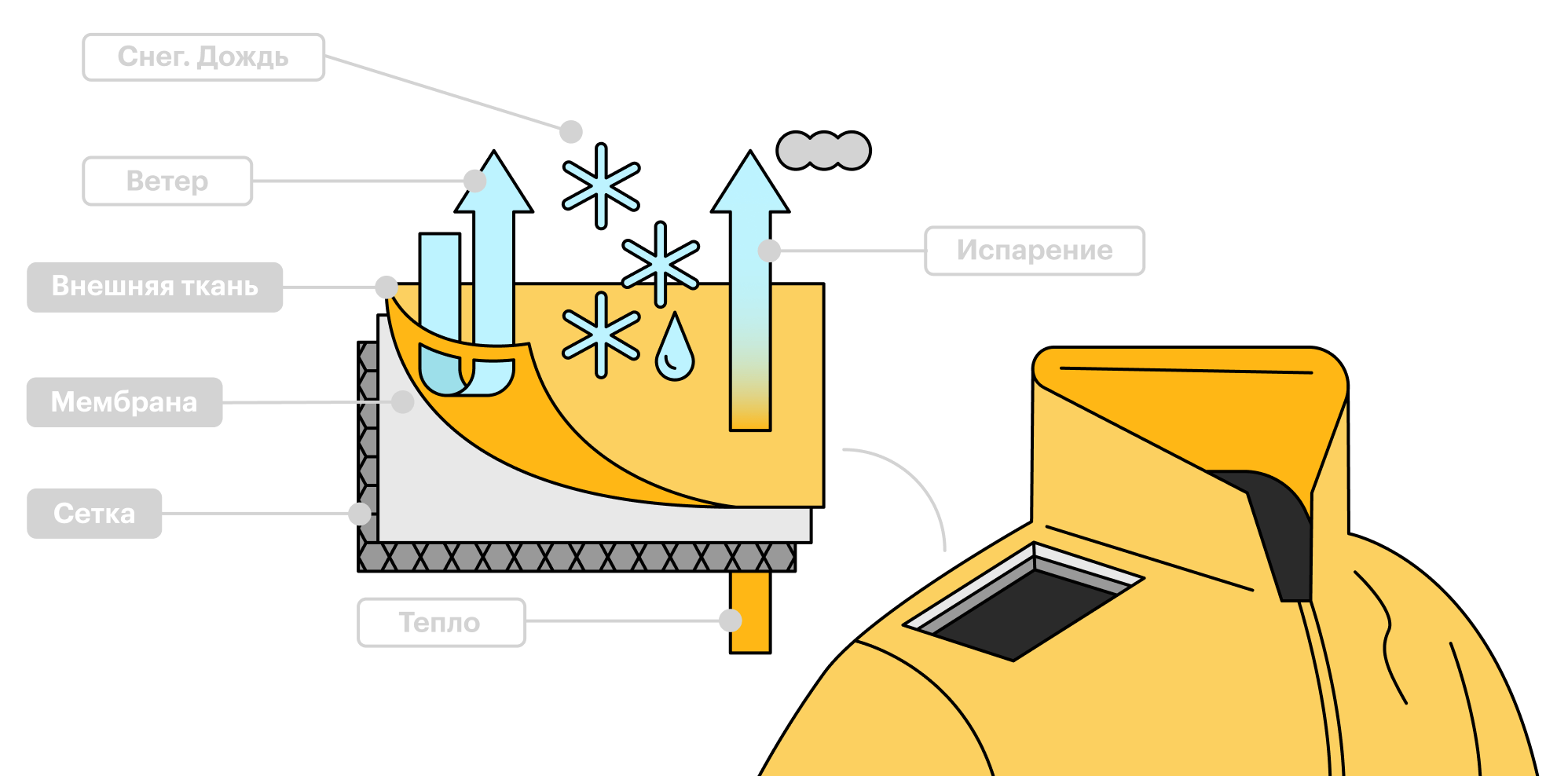 Схема работы мембраны