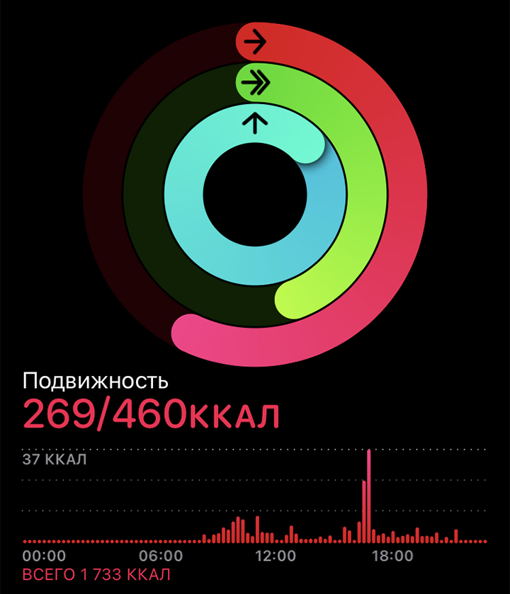 Сводка по дневной активности