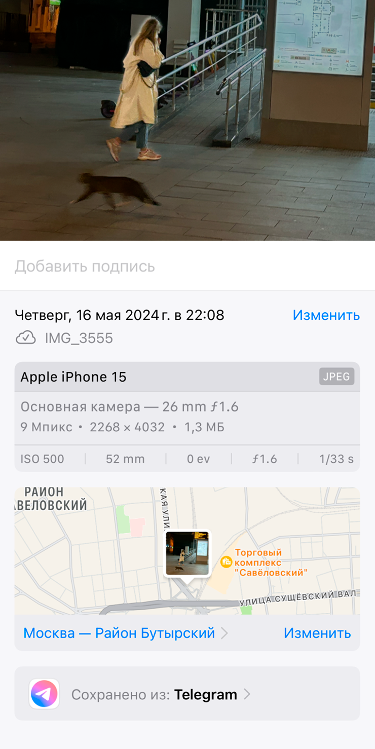 Теперь это же фото я отправил в «Телеграме» как файл, а потом скачал на телефон: метаданные сохранились