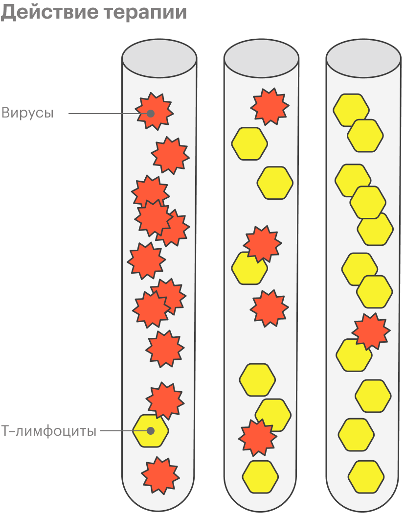 Терапия против ВИЧ направлена на сдерживание вируса и поддержку иммунной системы