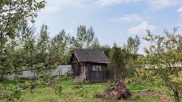 Обложка статьи