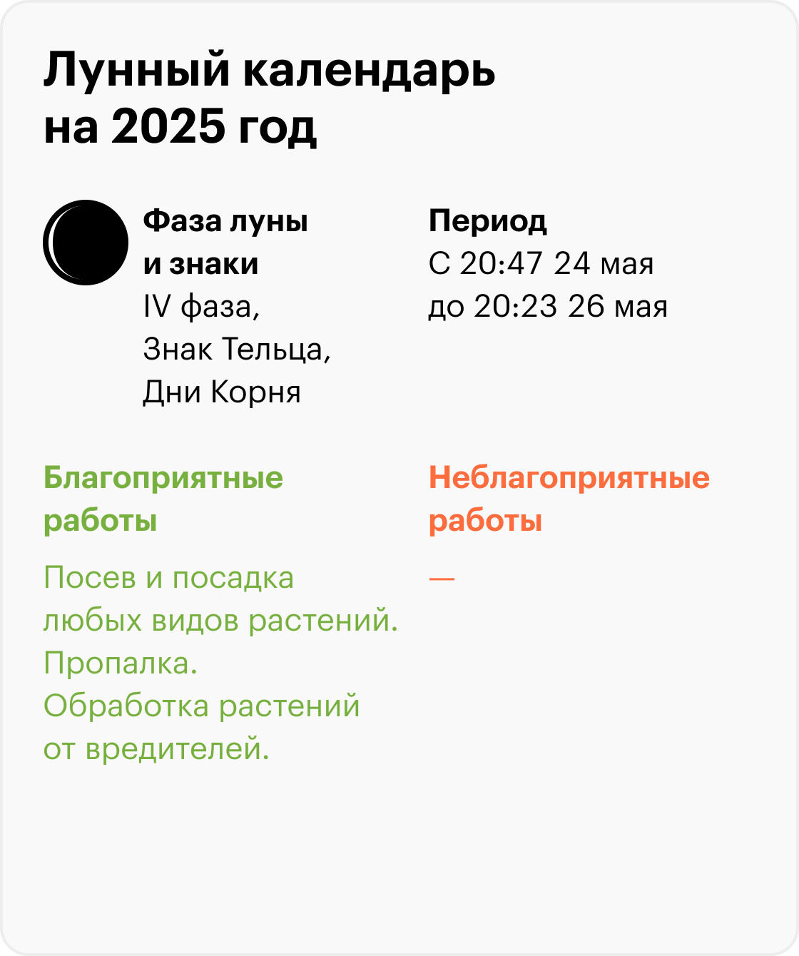 Лунные календари на следующий год обычно публикуют осенью. Сейчас я сам делаю лунный календарь на 2025 год для одного печатного издания