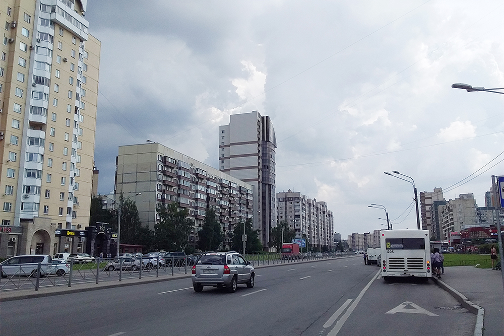 Проспект Пятилеток. В десяти минутах ходьбы от дома располагался торговый центр и овощной рынок, а до метро «Проспект Большевиков» — 15 минут