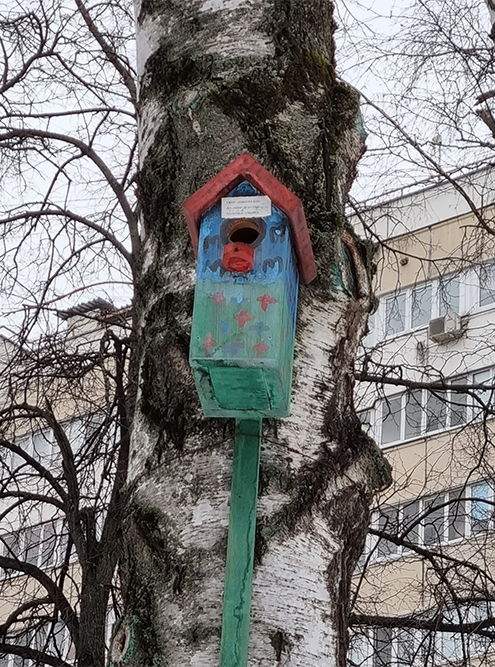 В сквере «Диета» — жилье для скворцов на любой вкус. На некоторых скворечниках остались подписи с именами архитекторов, учеников начальных классов