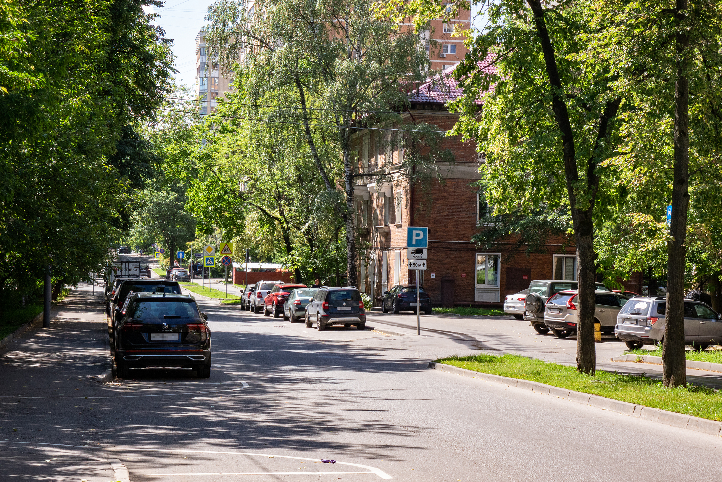 Из-за огромных деревьев за окном даже в домах у дороги не видно саму улицу