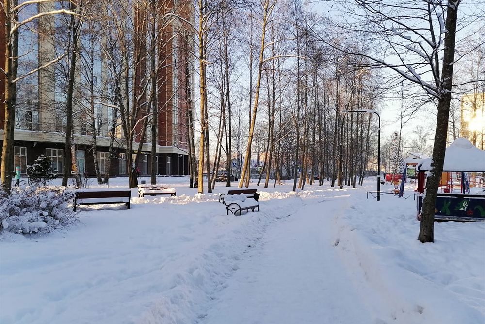 Возле моего дома даже есть маленький сквер, но лавочки в нем слишком привлекают пьяниц