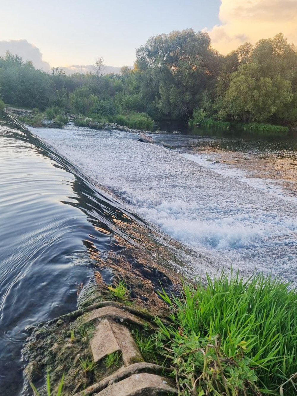 Зарайский водопад — отличное место для фотосессии людей и их питомцев