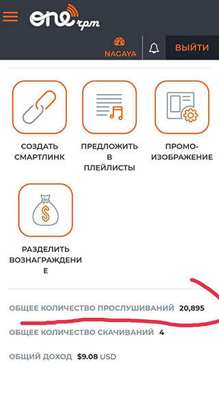 Вот так некорректно одна и та же статистика отображается в разных разделах личного кабинета