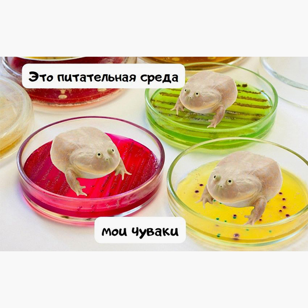 Мемы для среды