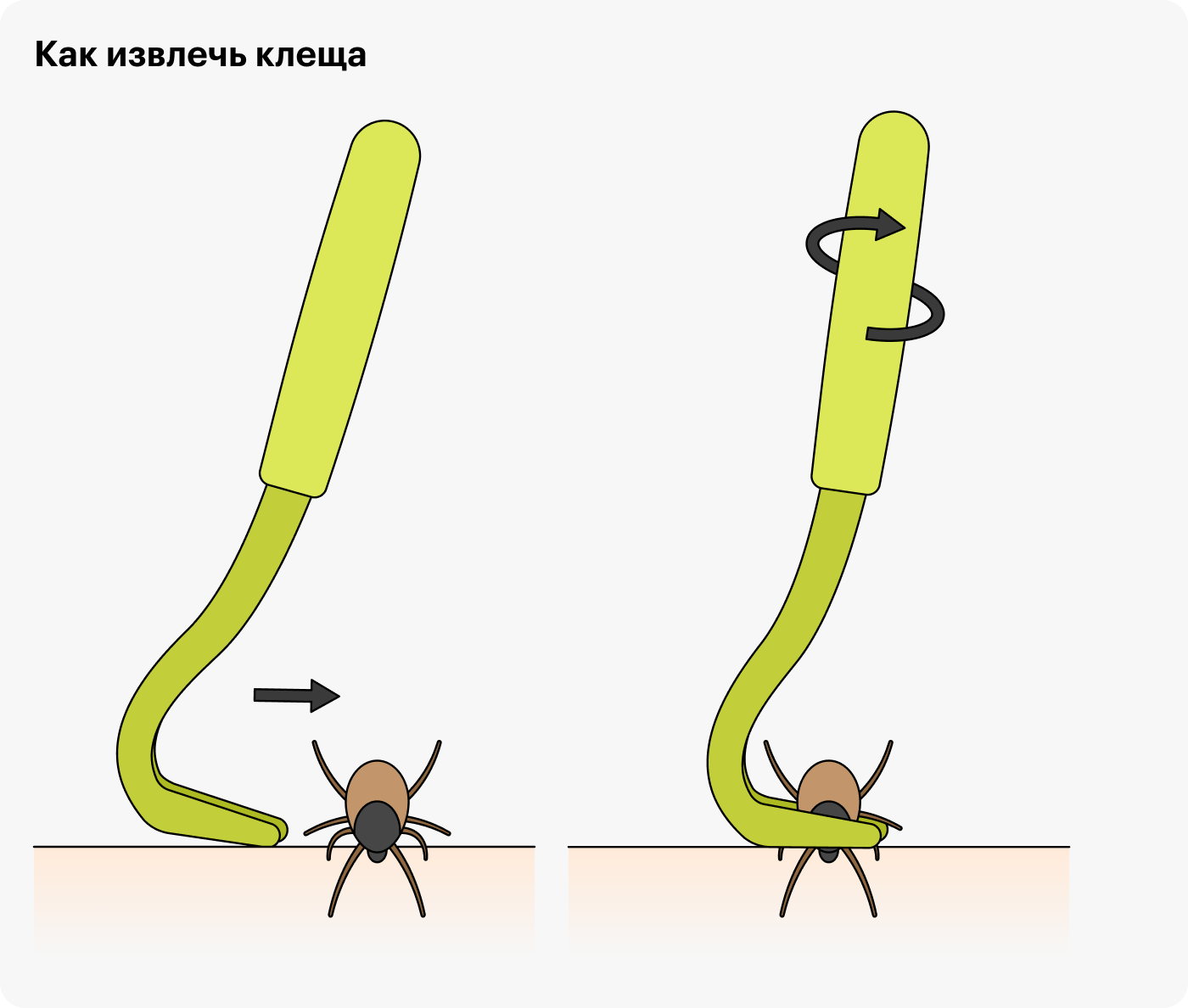 Заведите инструмент под головку клеща как можно ближе к коже и вывинтите его вращательным движением, как шуруп