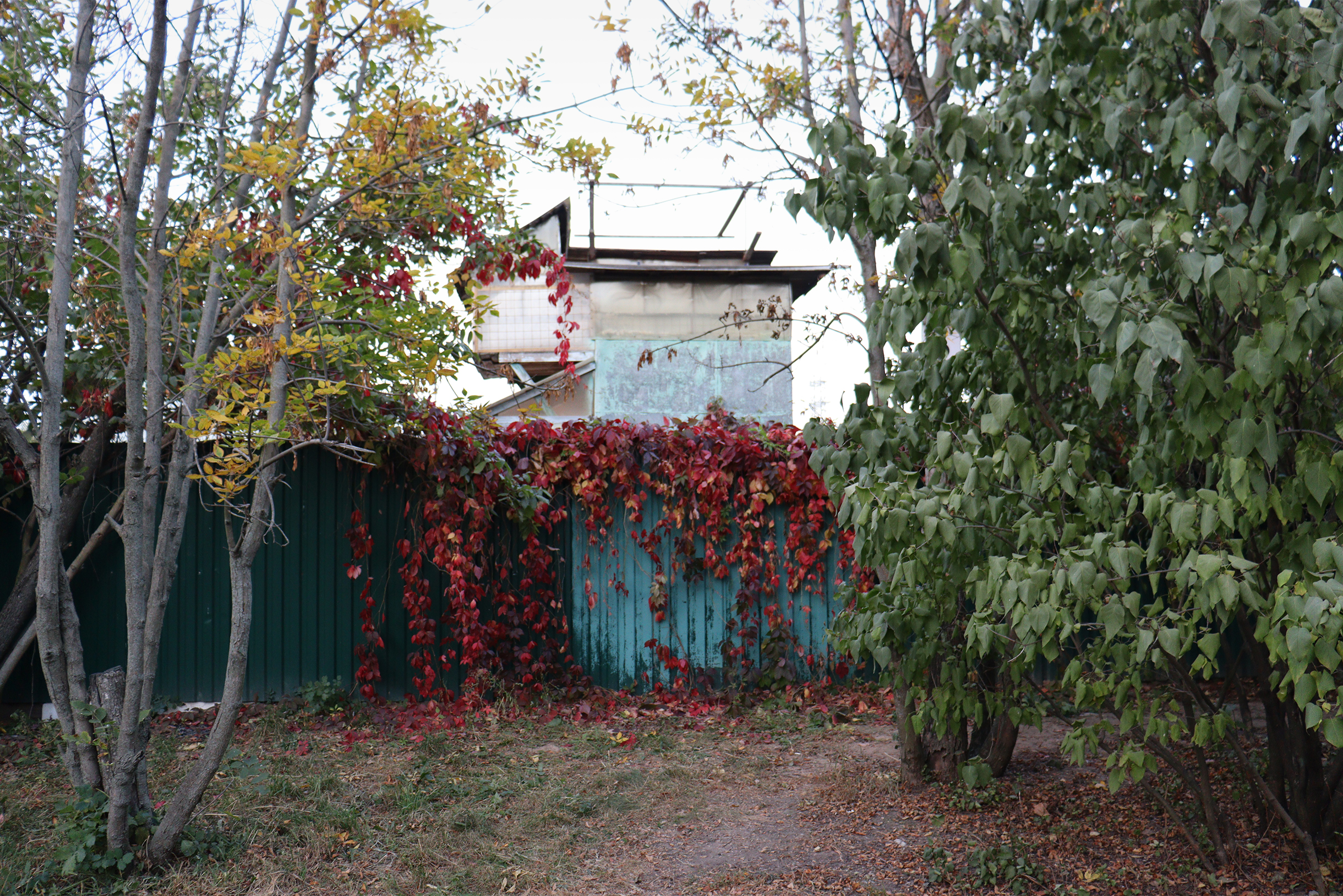 Встречаются симпатичные уголки. Например, эта голубятня. Фотография: Татьяна Леонтьева