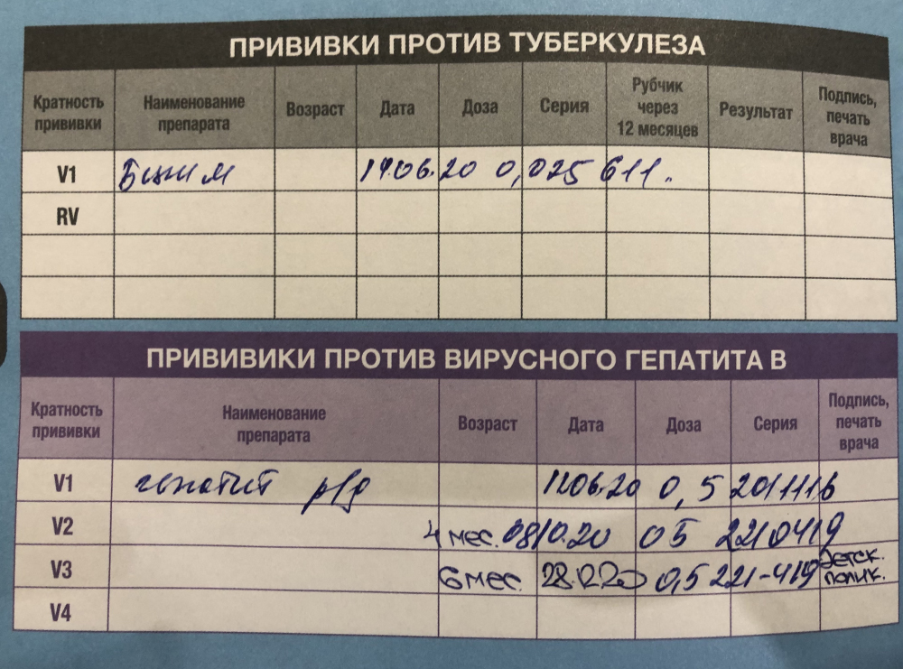 Вот как выглядят отметки о вакцинации в роддоме в прививочном сертификате: на фото БЦЖ⁠-⁠М и прививки от гепатита