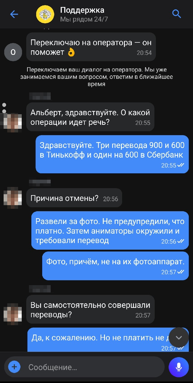 Переписка со службой поддержки Т⁠-⁠Банка: важно, связана ли операция с мошенничеством и самостоятельно ли я перевел деньги