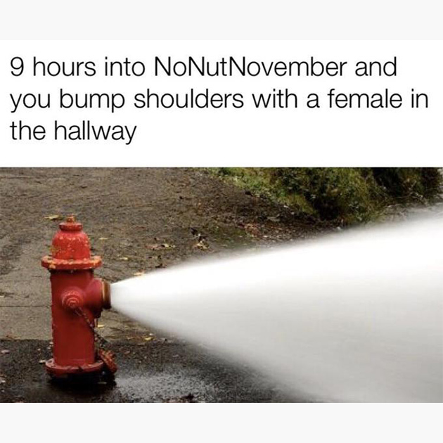 Мемы про No Nut November