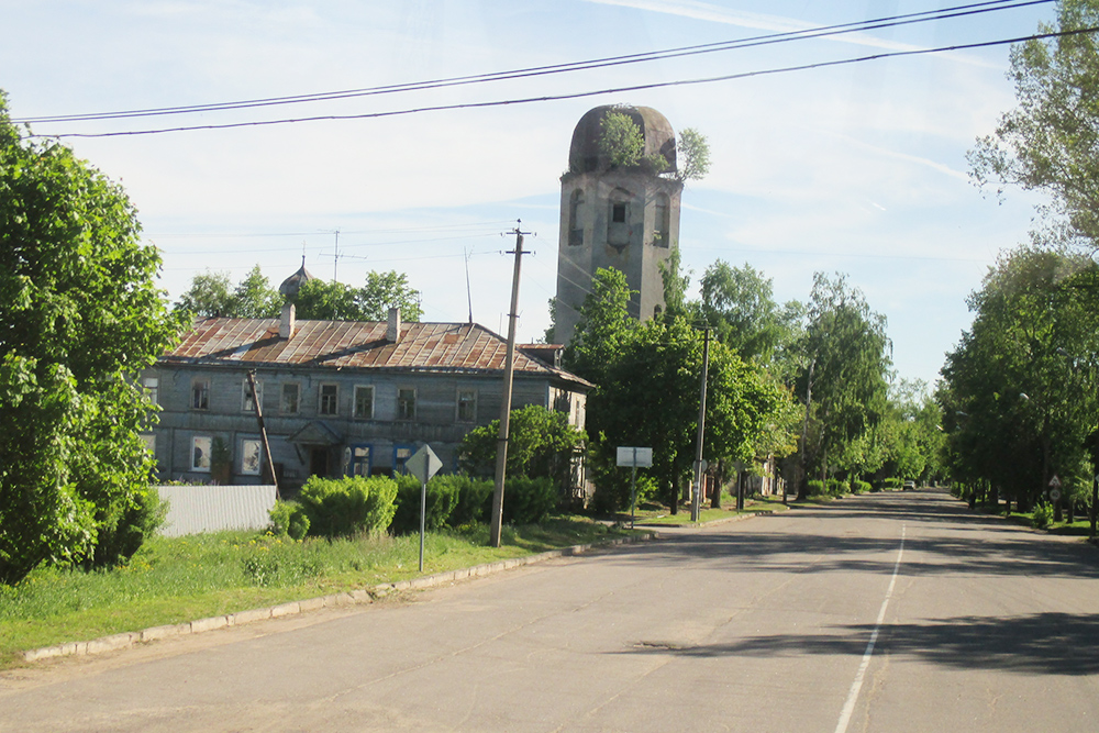 Исторические здания в Новой Ладоге заросли деревьями