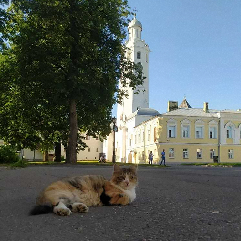 Августовский Новгород