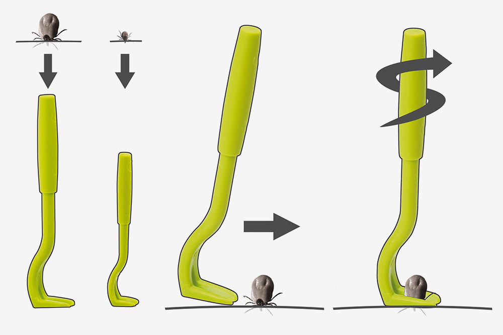 Наглядная инструкция по извлечению клеща