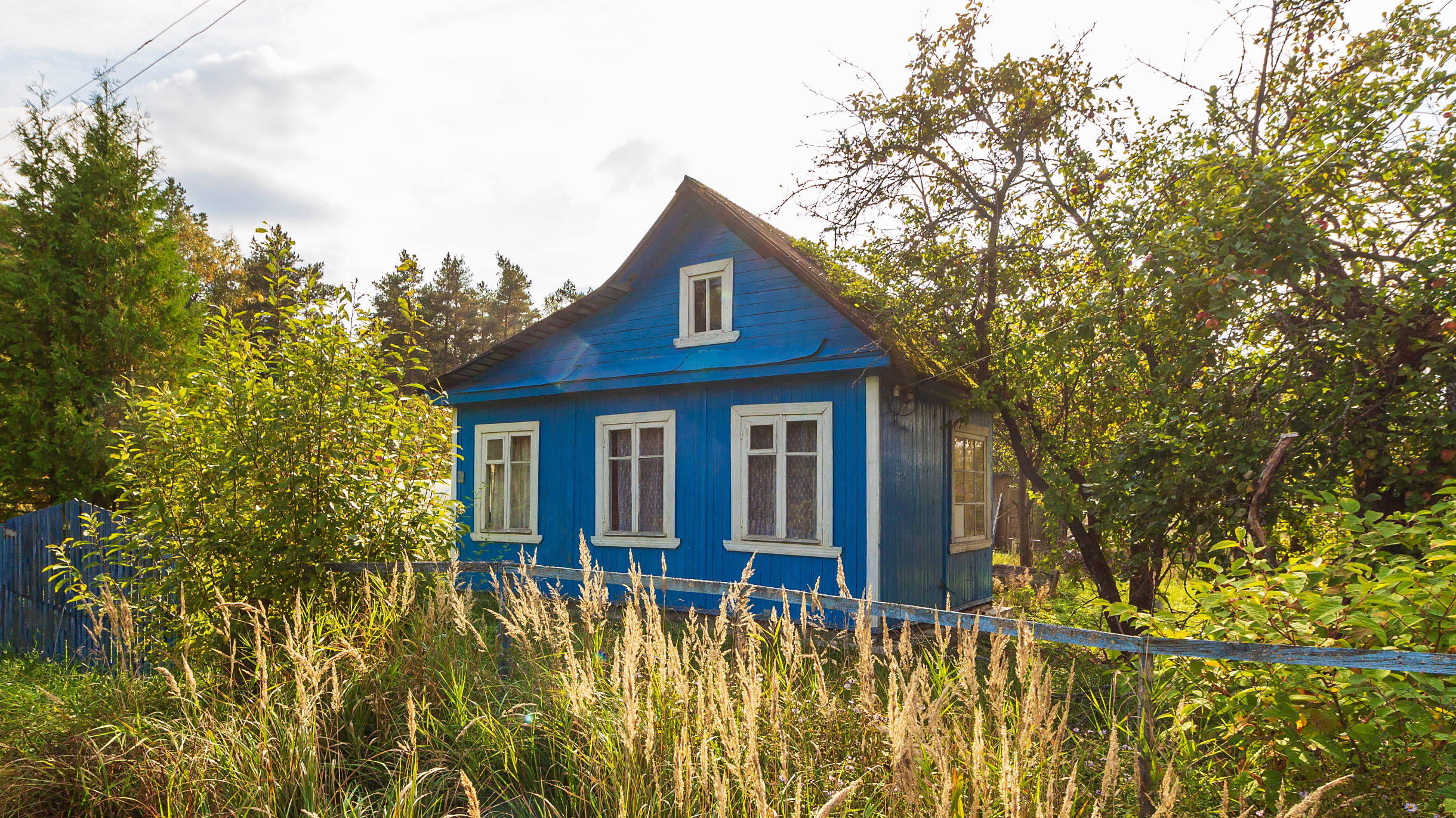 Как я купила дачу и обустроила ее на свою пенсию