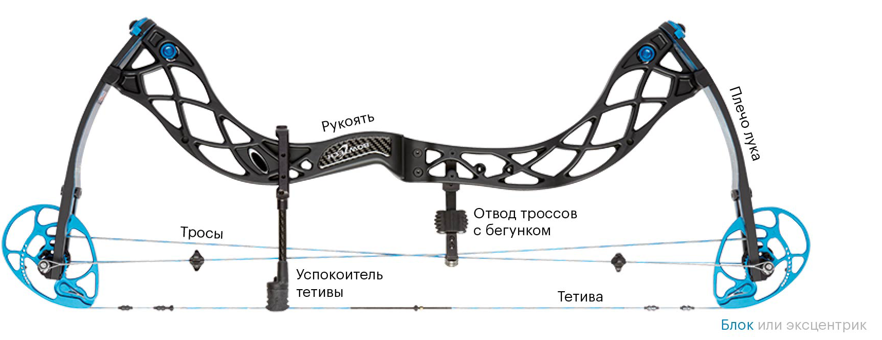 Я стреляю из блочного лука Bowtech Eva Shockey Signature Series. Вот как он устроен