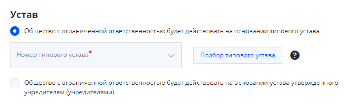 Сначала нужно указать, как будет действовать ООО: на основании типового устава или своего