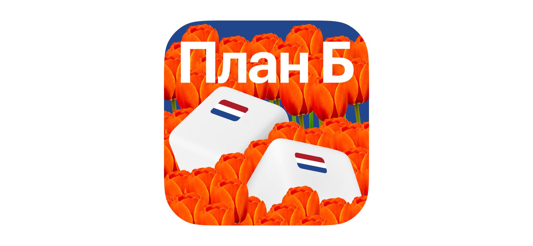 «Здесь придумали налоги на все»: сколько стоит жизнь в Нидерландах