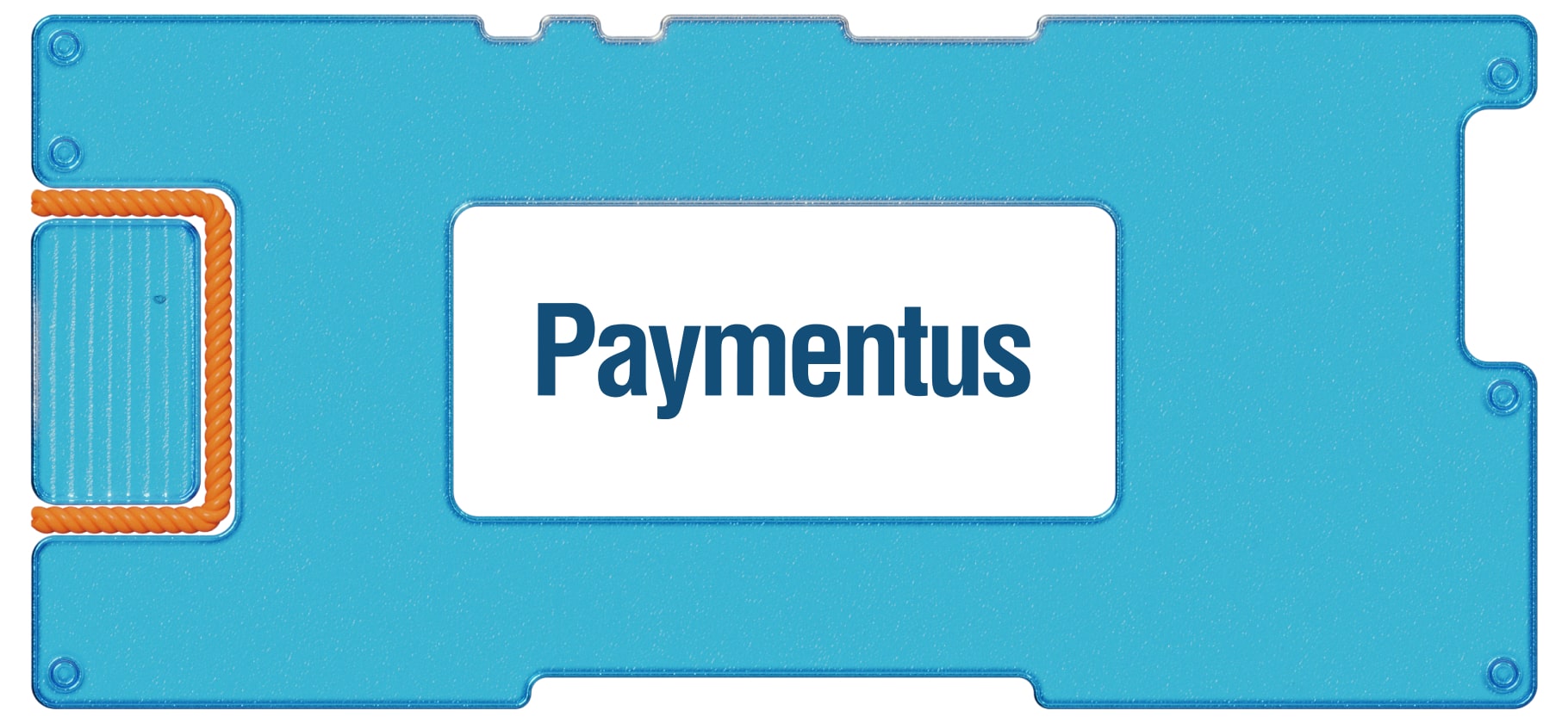 Инвестидея: Paymentus, потому что должно быть еще дороже