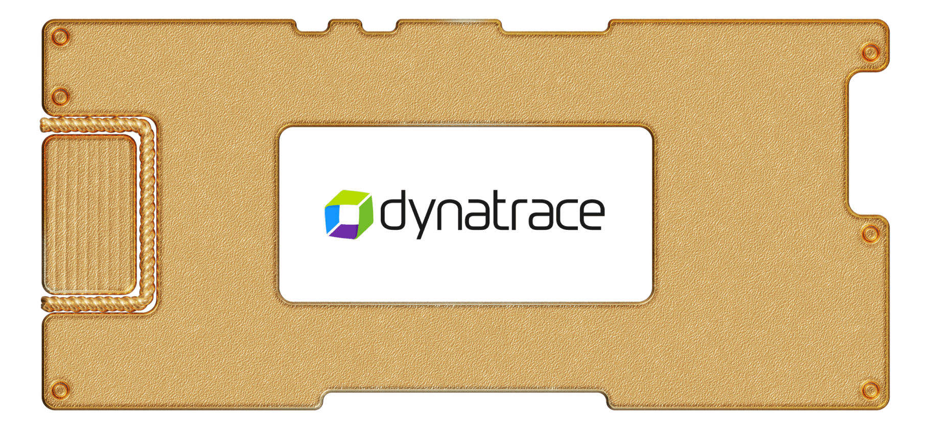 Инвестидея: Dynatrace, потому что это облако парит высоко