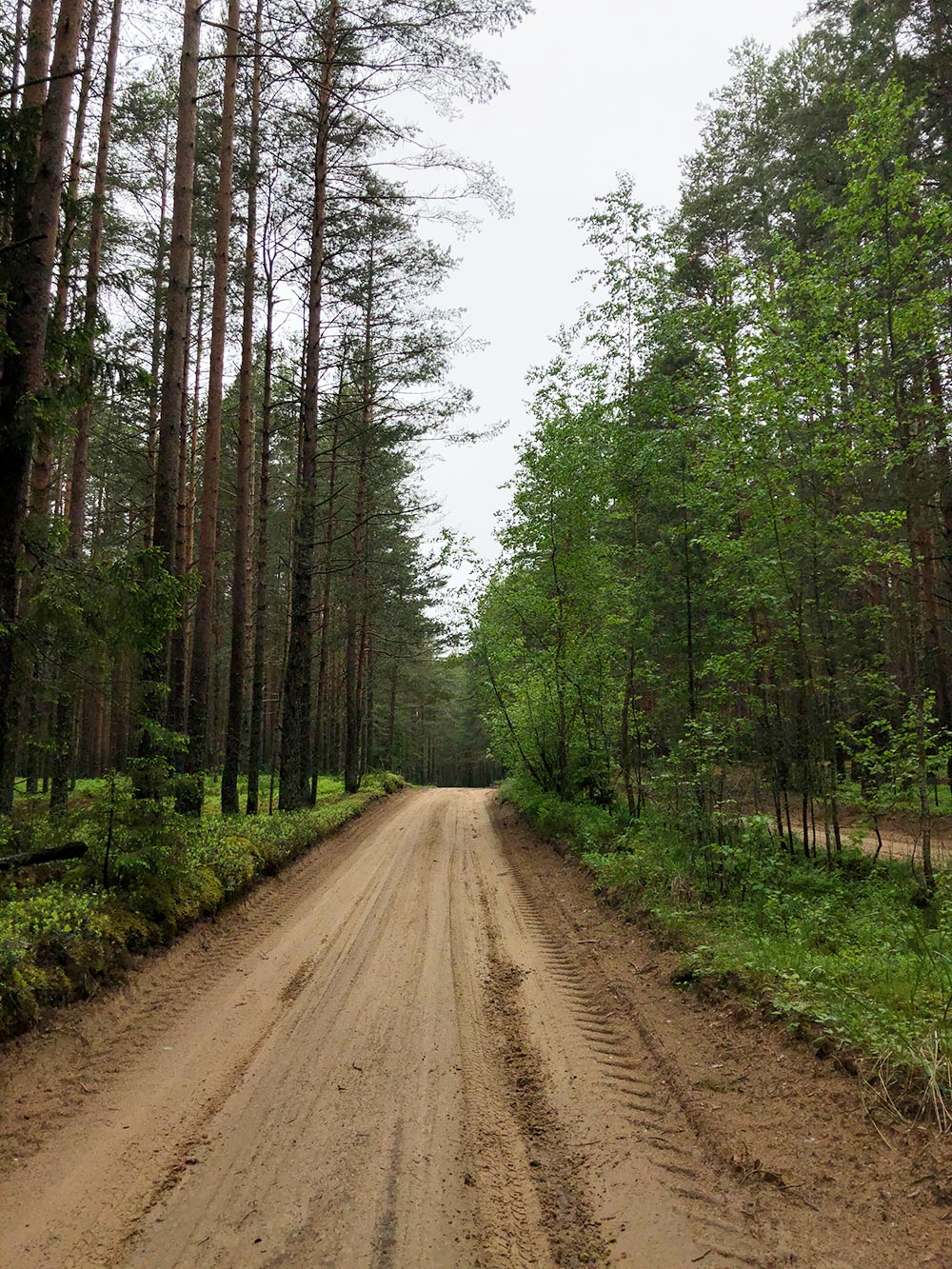 Дороги для поездки мы выбираем грунтовые, потому что там меньше машин и людей и больше природы