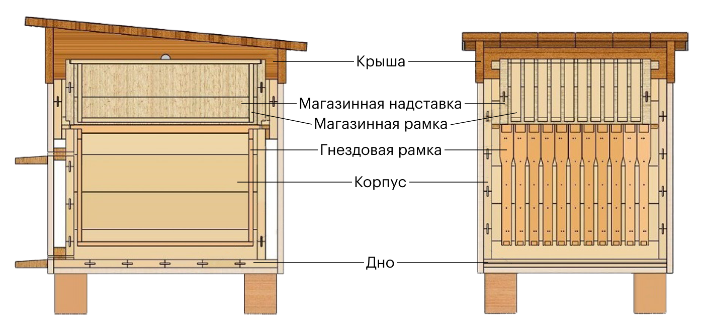 Вот по такой схеме я собрал два своих первых деревянных улья. Сейчас я использую ППС-ульи, но их конструкция в целом схожа. Источник: «Как сделать»