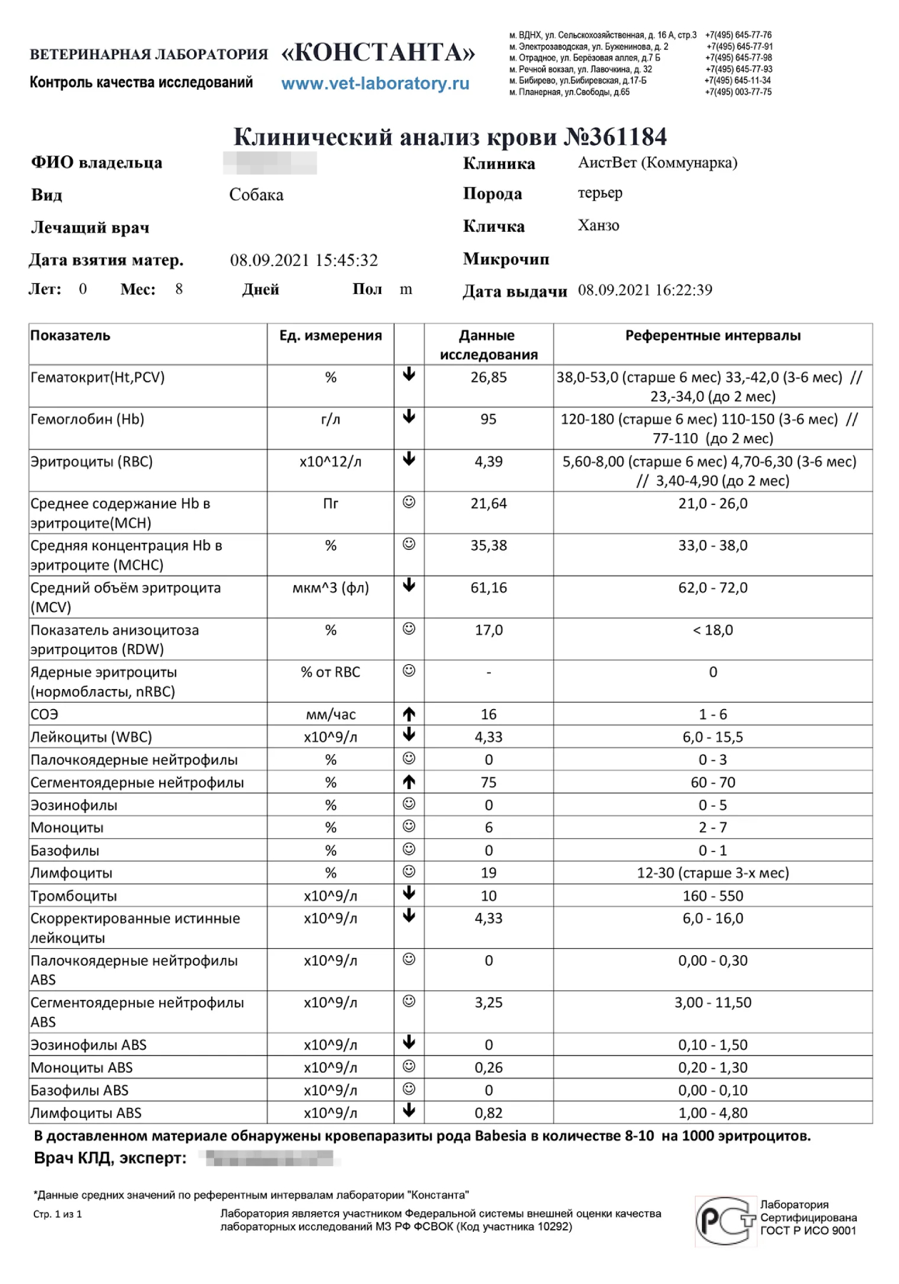 Анализ Ханзо. В крови нашли бабезий, а еще у него упал гемоглобин и уменьшилось количество эритроцитов