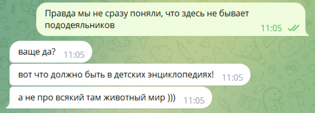 В итоге вот, что получилось из моих планов