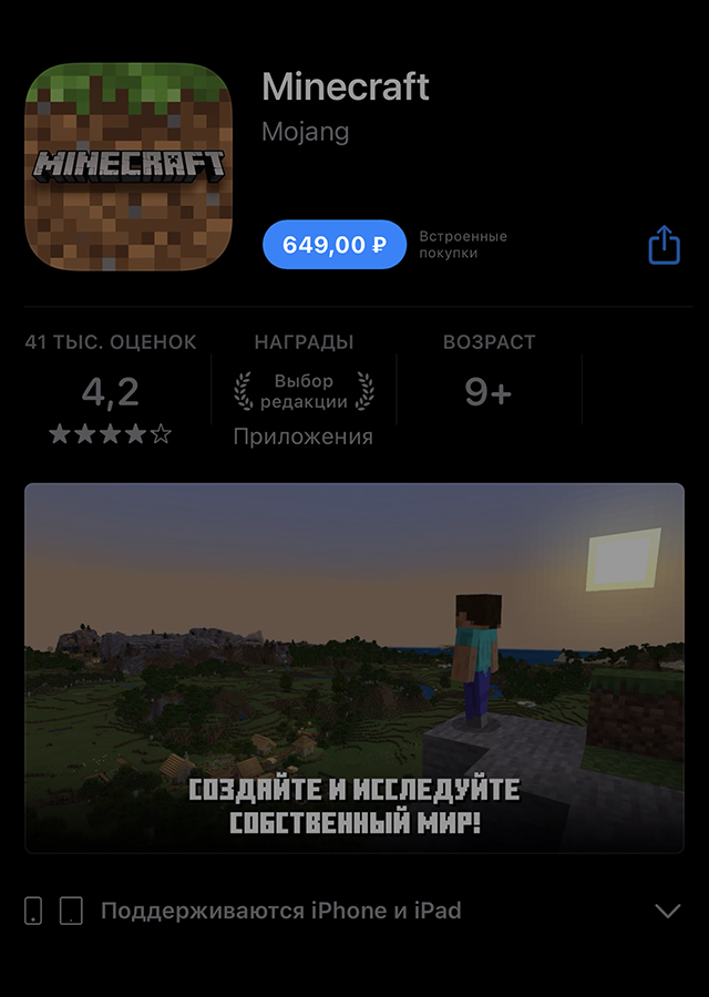 Minecraft — просто платная игра. Платишь за нее один раз — и играешь без ограничений