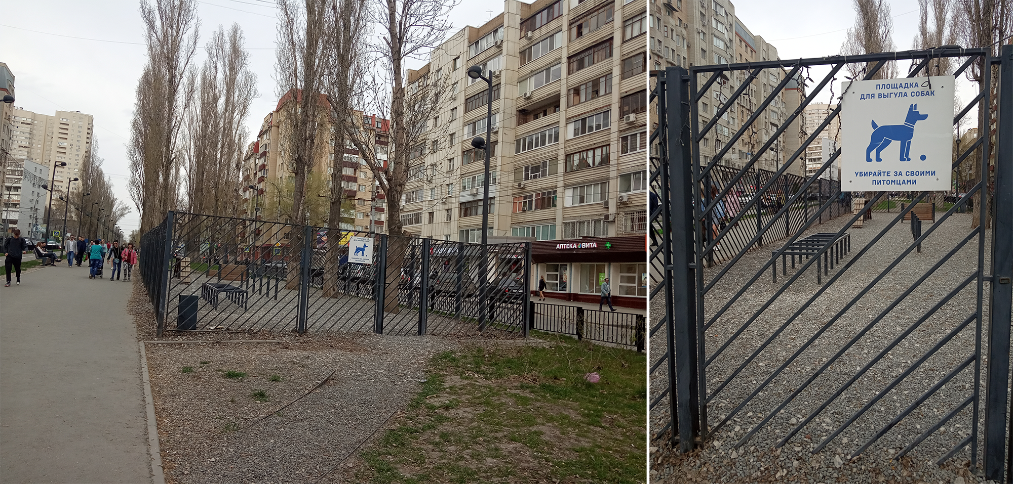 В Саратове площадка для выгула собак выглядит вот так: огорожена забором, обозначена информационной табличкой, посыпана гравием. От моего дома до такой площадки 3 км