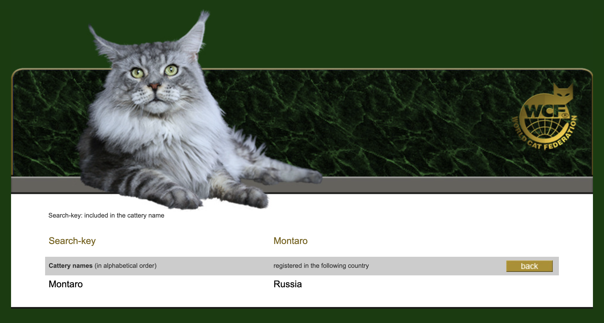 Так будет выглядеть поиск питомника на сайте WCF. Например, в реестре отобразился питомник породы мейн⁠-⁠кун Montaro. Источник: wcf.info