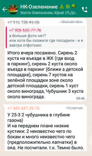 Все вопросы, планы и результаты посадок мы с инициативной группой обсуждали в чате по озеленению