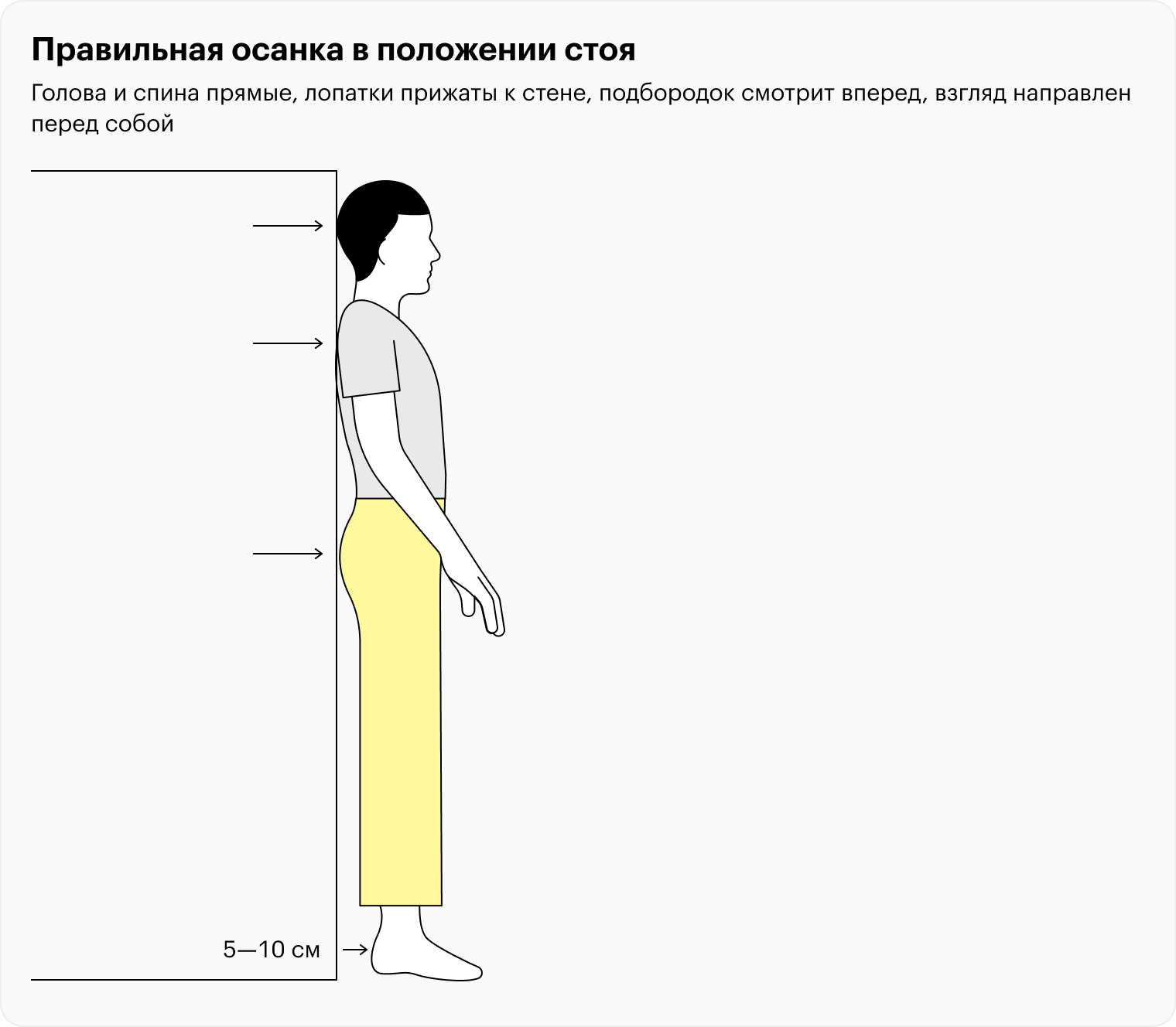 При правильной осанке стоя голова и спина прямые, лопатки прижаты, подбородок смотрит вперед, взгляд направлен перед собой