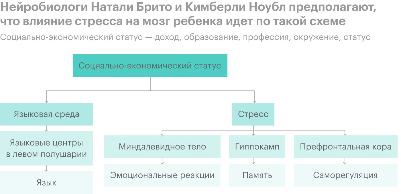 Источник: IRP